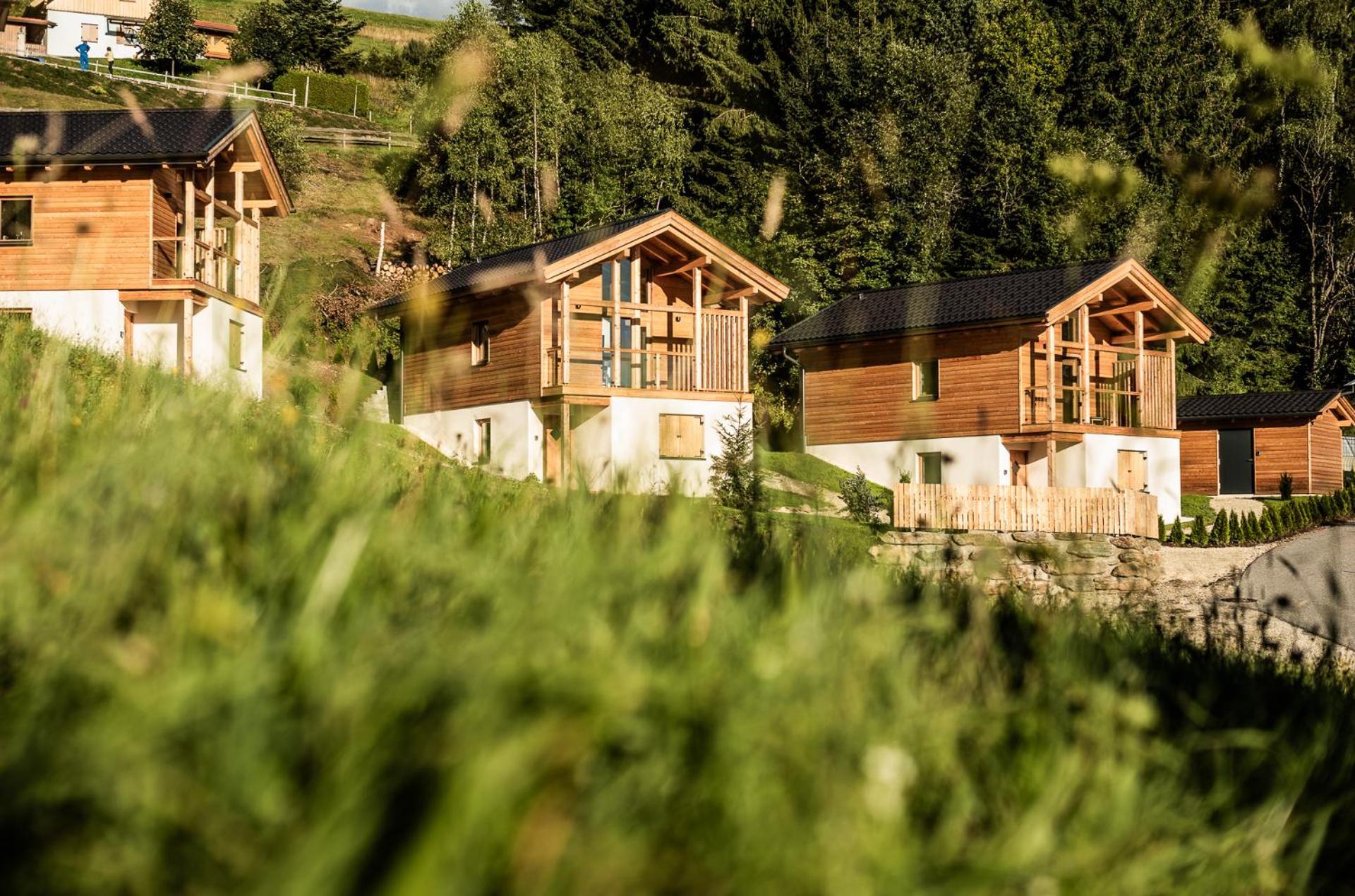 Holiday home Ferienhaeuser Koralpe Unicorn Village *